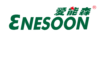 Enesoon(shenzhen) High-end Intelligent Equipment Co., Ltd.